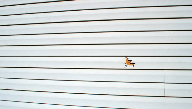 Best Siding Replacement  in Minster, OH
